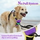 thumbnail image 5 of Arnés para perros Rabbitgoo sin tirones, ajustable, morado y amarillo, L, 5 of 6