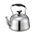 thumbnail image 1 of Stainless Steel Sound Kettle for Boiling Water and Making Tea>, 1 of 8