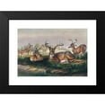 thumbnail image 2 of Joseph Wolf 24x17 Black Modern Framed Museum Art Print Titled - The White-Tailed Deer (1861-1867), 2 of 5