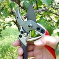 thumbnail image 3 of Pruning Scissors, Pruning Shears, Manual Steel Pruner Gardening Accessory for Potted Plants Outdoor Indoor, 3 of 8