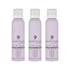 Hairitage Brunettes’ Day Off Tinted Dry Shampoo, 4.2 oz (Pack of 3)