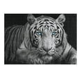 thumbnail image 5 of JRXY White Tiger Wooden Jigsaw Puzzle - Premium Eco-Friendly Wood Puzzle for Family and Friends 300 PCS, 5 of 6