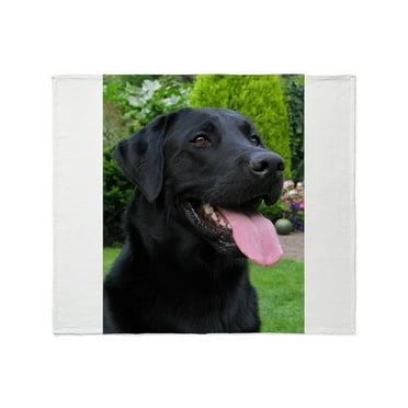 CafePress - Black Lab Throw Blanket - Soft Fleece Throw Blanket, 50"x60" for All Ages