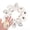 3"-4", variant on Sinkoo 10Pcs Oyster Shells Flat 3"-4" Medium Oyster Shells for Crafts Natural Oyster Shells Bulk, for Home Vase Filler, Xmas Ornaments, DIY Arts and Crafts Sea Shells