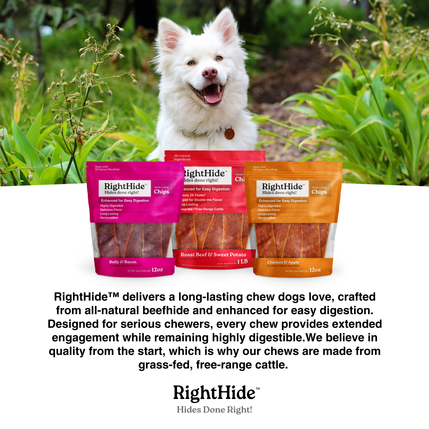 (8 pack) RightHide Large Rolls,Chicken & Apple, 4PC
