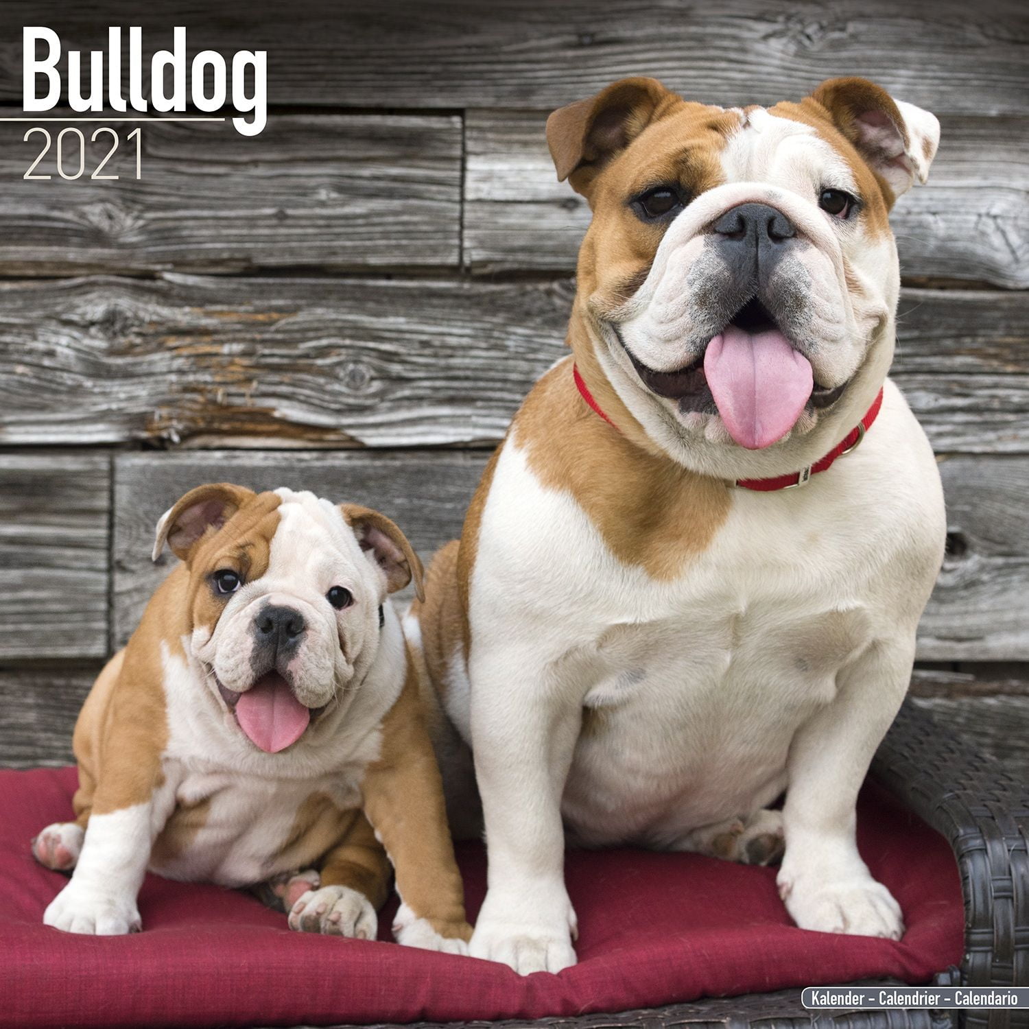 Bulldog Calendar 2021 Bulldog Dog Breed Calendar Bulldogs Premium Wall Calendar 2021 Walmart Com Walmart Com bulldog kalender 2021