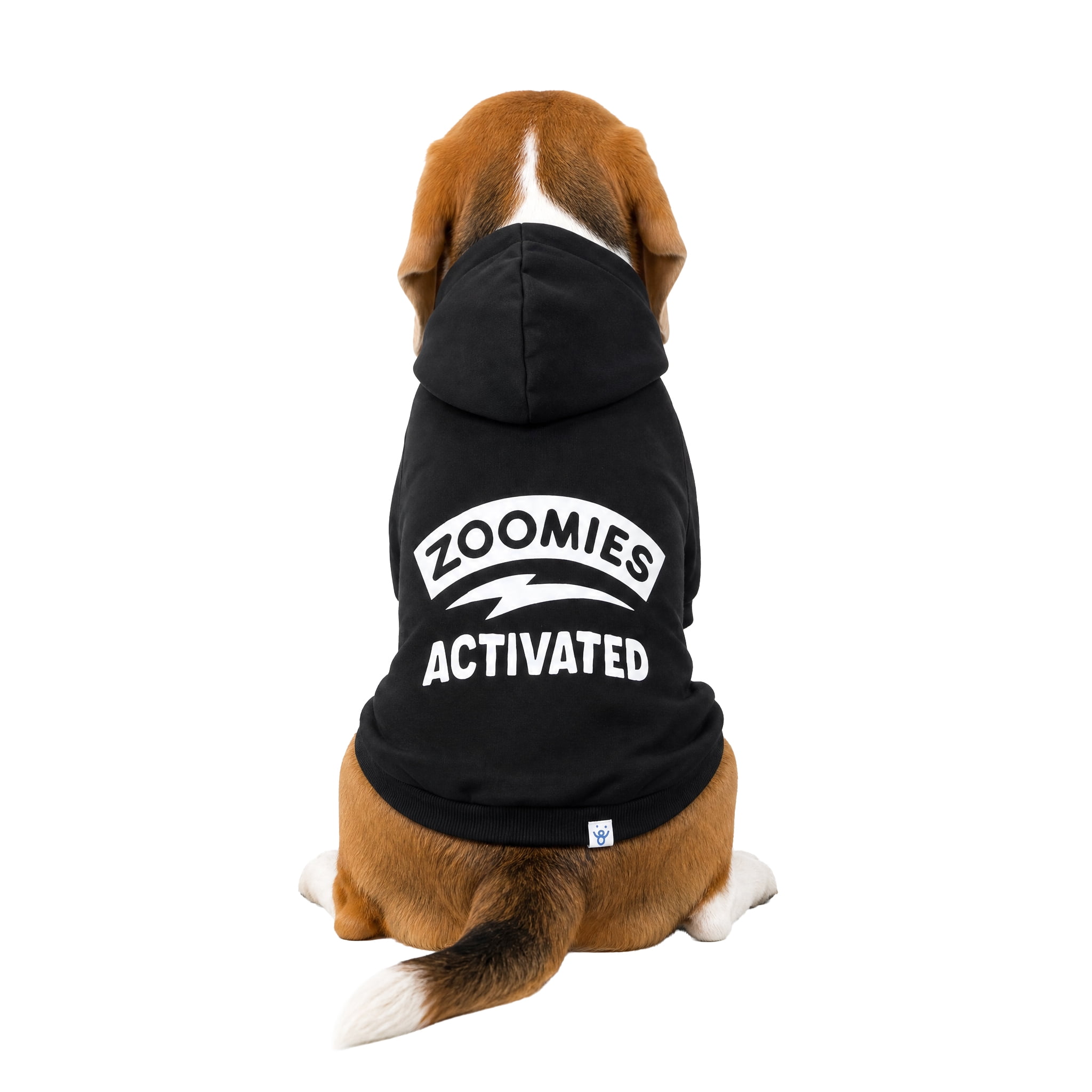 Oodles Zoomies Activated Fall Dog Hoodie, Black, Medium