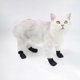 thumbnail image 3 of 4 Pcs Cats Claw Covers Scratch Protection For Cats, Breathable Mesh Cat Paw Covers, 3 of 5