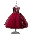 thumbnail image 2 of Godderr Kids Flower Girl Dress Girls Dresses Fairy Dresses for Teen Girls Birthday Dress Toddler Ball Gown Baby Girl Wedding Dress Bridesmaid Dress for 4-15Y, 2 of 7
