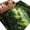 Green, variant on Large Area Rugs for Living Room Bedroom, Green Forest 6'x9' Rug Washable Carpet Runner Indoor Outdoor, Nature Spring Scenic Woodland Non Slip Floor Mats Rug for Kitchen, Playroom