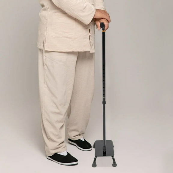 150kg Stair Climbing Assist Adjustable Walking Cane Stair Lift Aid for Seniors