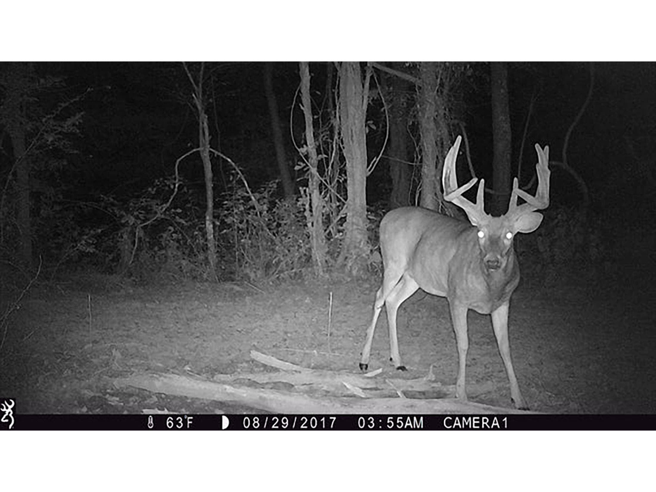 Browning Strike Force Pro X 1080 Trail Camera 24 MP
