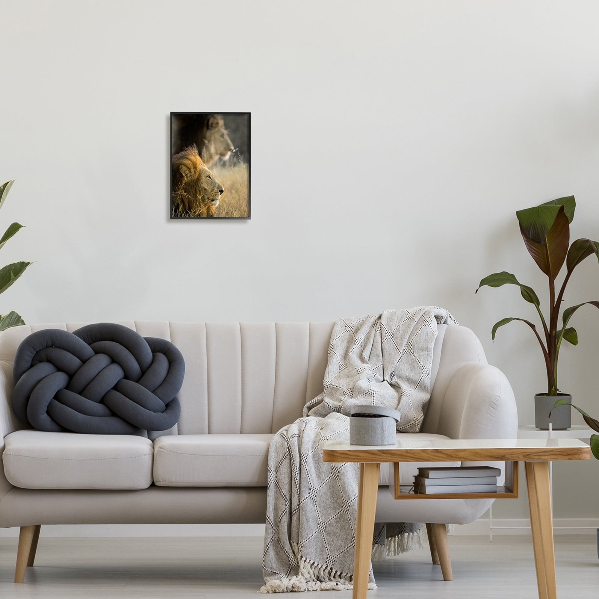 Stupell Industries Lions Lounging Savanna Photography Animals & Insects Photography White Framed Art Print Wall Art