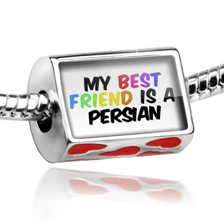Bead My best Friend a Persian Cat from Greater Iran Charm Fits All European