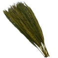 thumbnail image 5 of 35" Dried Plant Natural Foliage Leaves Bouquet with Feather Inspired Stems, by DecMode, 5 of 7