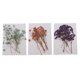 thumbnail image 1 of 3X Multi Kinds Flores prensadas secas reales Hojas secas pa manualidades Proyectos de decoración de bricoje Jabón Ve Baoblaze Flores secas prensadas naturales, 1 of 8