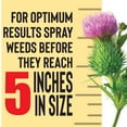 thumbnail image 4 of Pulverize Weed & Grass Killer Herbicide, 1 gal with Nested Trigger, 4 of 5