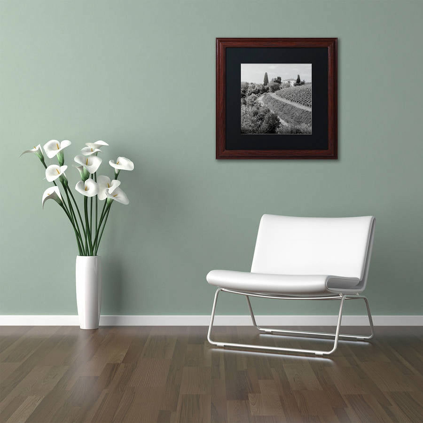 Trademark Fine Art "Tuscany V" Canvas Art by Alan Blaustein, Black Matte, Wood Frame