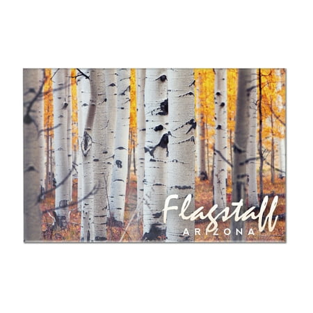 Flagstaff, Arizona - Aspen Trees - Fall Colors - Lantern Press Photography (12x8 Acrylic Wall