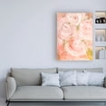 thumbnail image 3 of Trademark Fine Art 'Vintage Rose Oil' Canvas Art by Erin Ashley, 3 of 3