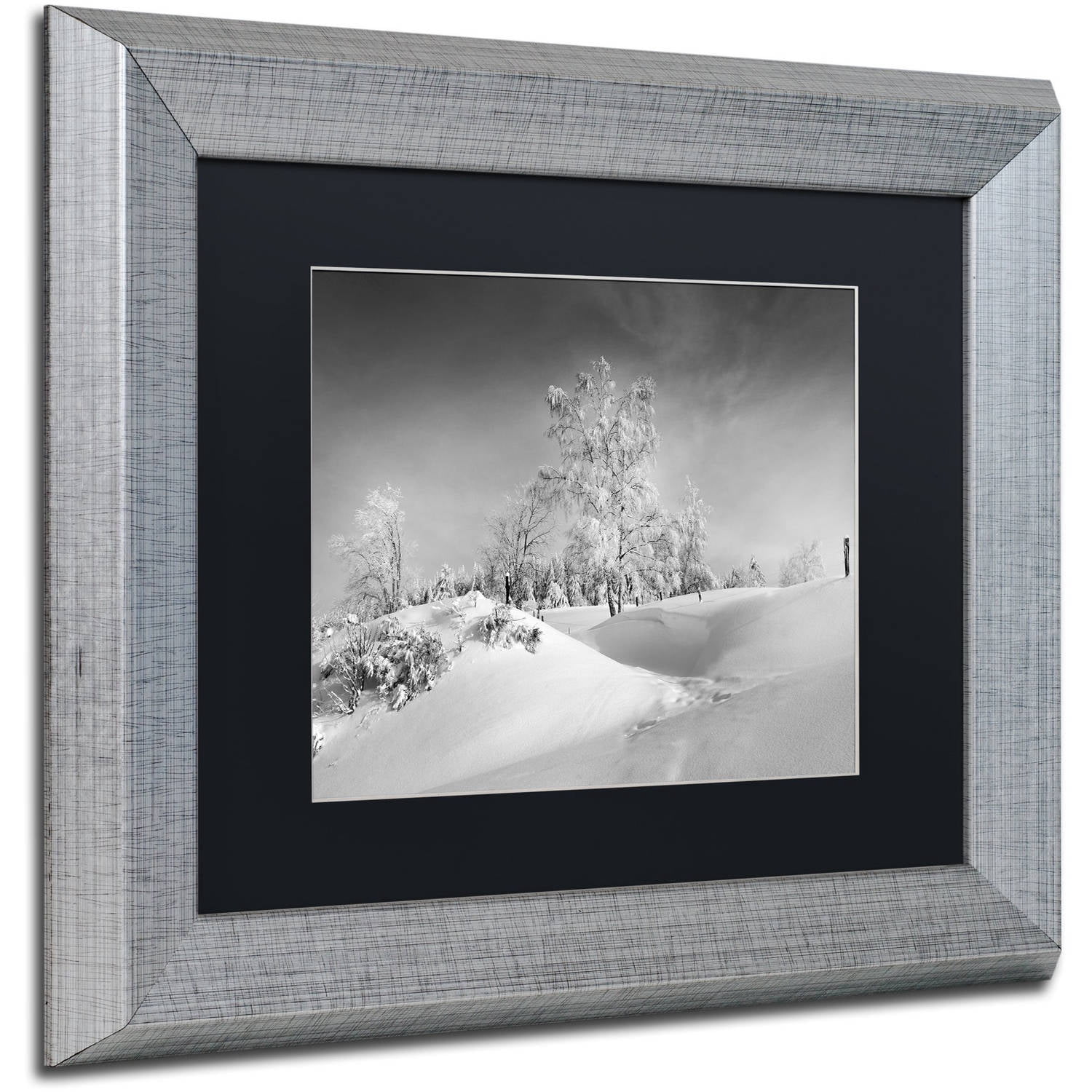 Trademark Fine Art "Dressed For Winter B&W" Canvas Art by Philippe Sainte-Laudy, Black Matte, Silver Frame
