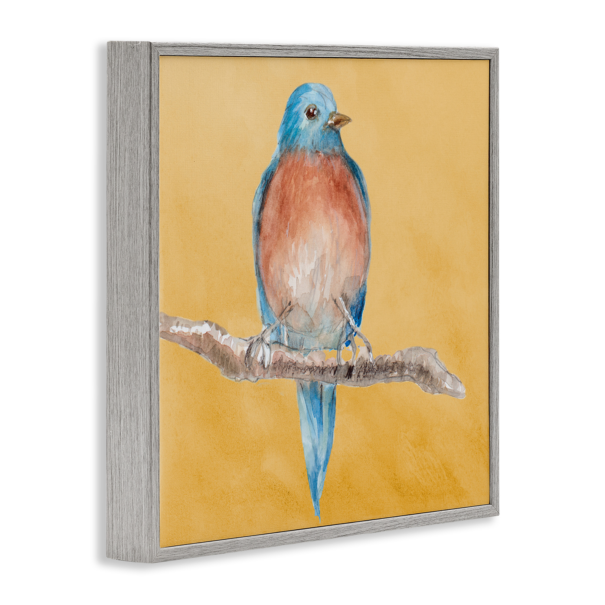 Stupell Industries Traditional Bluebird Perched Animals & Insects Painting Gray Framed Art Print Wall Art, 17 x 17