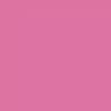 (2 pack) COLORSHOT Premium Multi-Surface Gloss Farmers Daughter Spray Paint - 10 oz - Pink