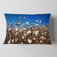 thumbnail image 2 of Designart Blooming Alabama Cotton Field - Landscape Printed Throw Pillow - 12x20, 2 of 5