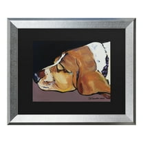 Trademark Fine Art 'Farley' Canvas Art by Pat Saunders-White