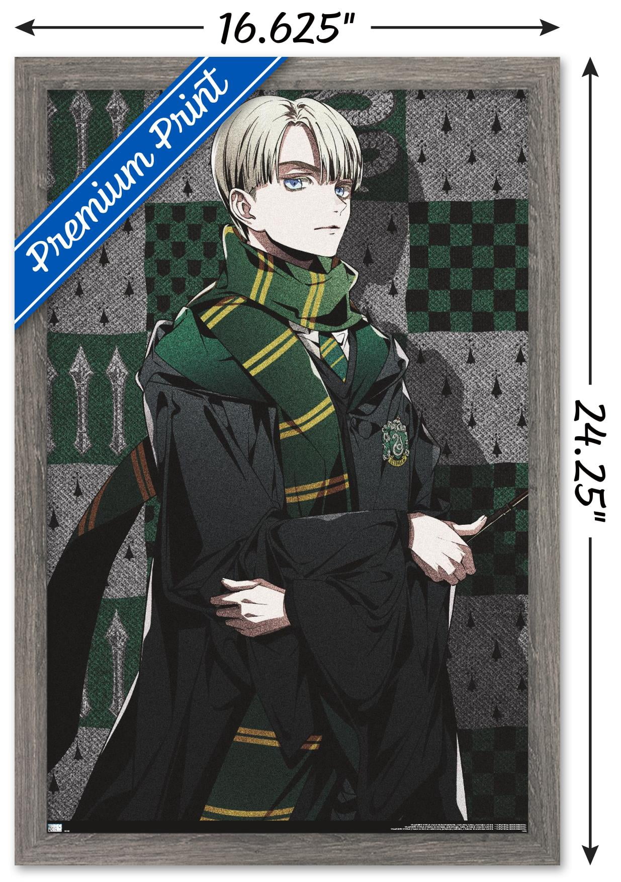The Wizarding World: Harry Potter - Dynasty Draco Wall Poster, 14.725" x 22.375" Framed