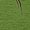 Green, variant on Blouses for women dressy casual Polyester,Spandex Soft Clothing M Beige womens blouses