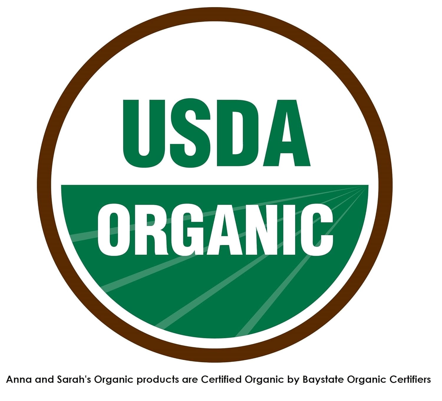 Anna and Sarah Organic Dried Mango, No Sugar Added Natural Snacks, 2 Lbs