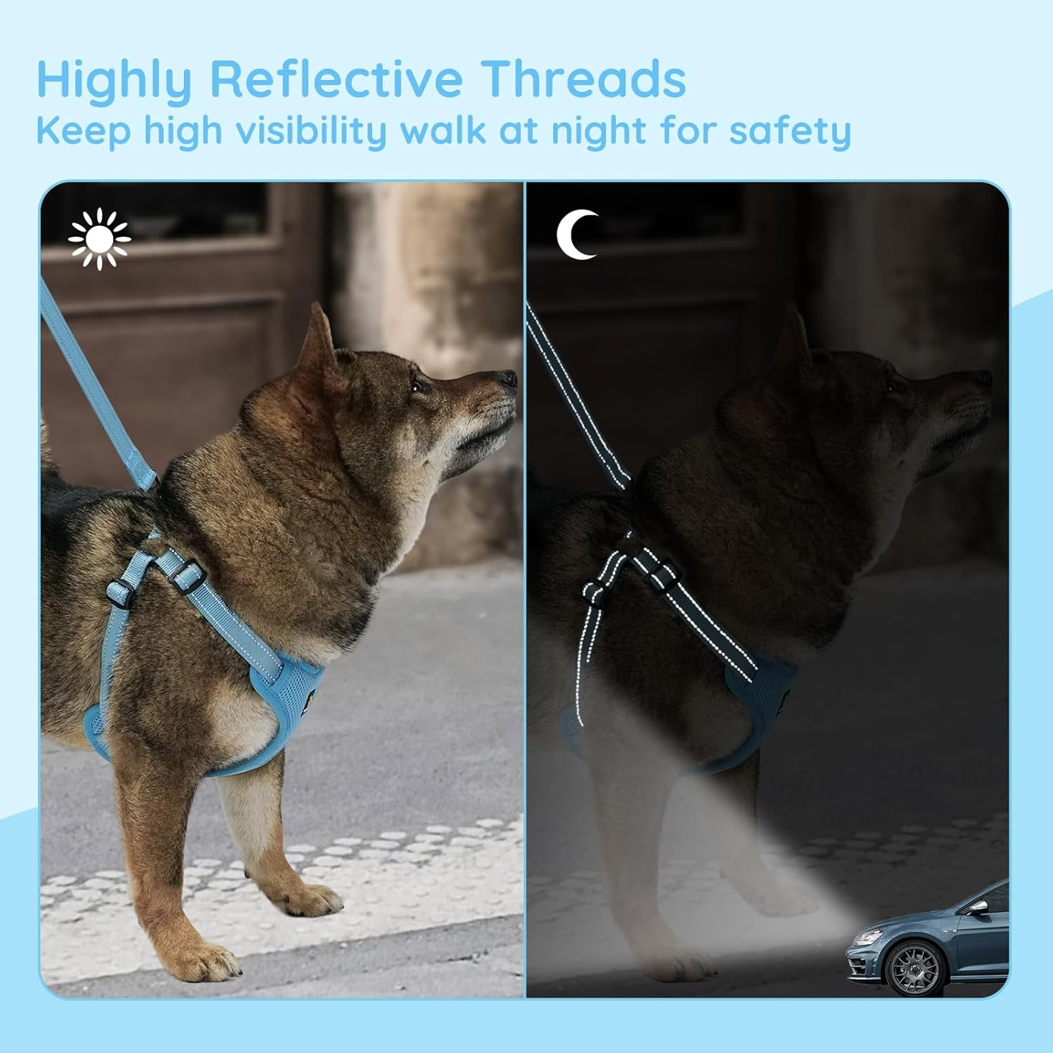 BELLA & PAL Dog Harness for Medium Dogs, Adjustable Reflective No Pull Step-in Dog Vest, Breathable Soft Mesh Harness and Leash Set for Small Medium Dogs, Sky Blue, L