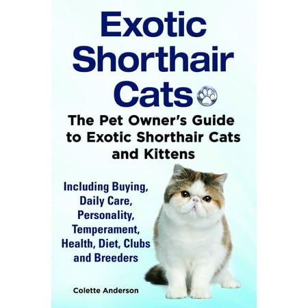 Exotic Shorthair Cats The Pet Owner’s Guide to Exotic Shorthair Cats and Kittens Including Buying, Daily Care, Personality, Temperament, Health, Diet, Clubs and Breeders -