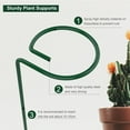 thumbnail image 5 of Deago 12 Pack 15.7 inch Plant Support Stakes Garden Single Stem Plant Stakes Flower Support Rings for Amaryllis Orchid Lily Rose Tomatoes, Green, 5 of 9