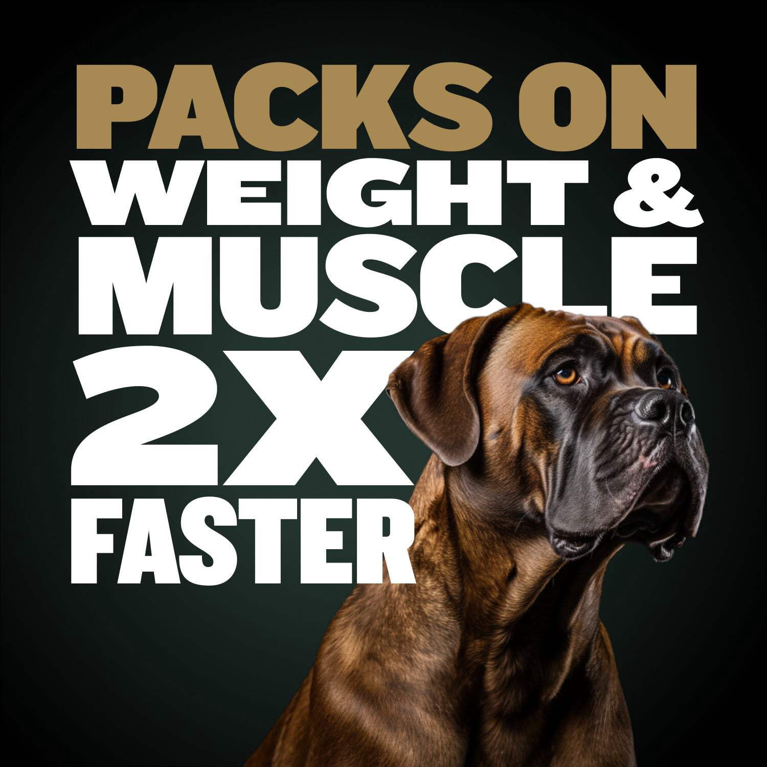 Bully Max Pro Series High Calorie Chicken Flavored Dog Food, 4 lb. Bag