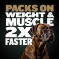 thumbnail image 5 of Bully Max Pro Series High Calorie Chicken Flavored Dog Food, 16 lb. Bag, 5 of 10