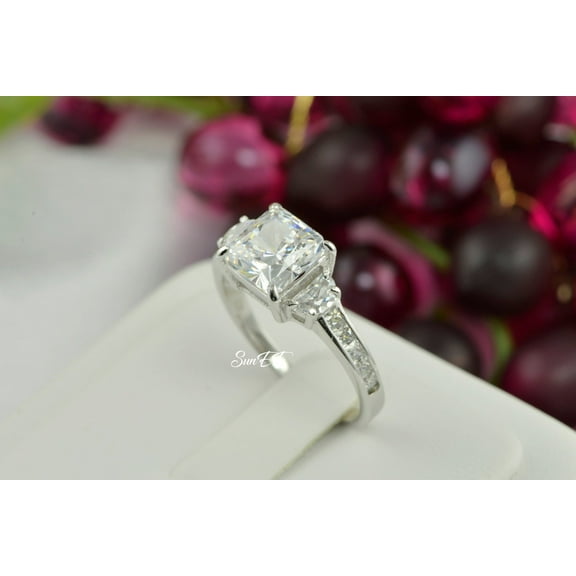 4.8ct Princess Cut Bridal Wedding Engagement Ring Diamond Simulated 925 Sterling Silver Anniversary Rings SKU:00159