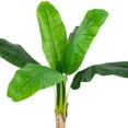 thumbnail image 4 of Northlight 4' Artificial Tropical Banana Tree in a Clay Pot, 4 of 7