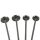 thumbnail image 3 of VALVULA ADMISION/ESCAPE SET BAJAJ PULSAR NS 200 (12-24), 3 of 3