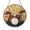 Acrylic 3.5 Inch, variant on Musical Drum Acrylic Suncatcher, Decorative Window Hanging Instrument Art Panel
