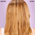 thumbnail image 3 of L'Oreal Paris Everpure Volume Conditioner, 3 of 7