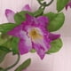 thumbnail image 3 of Guirnalda de flores de seda artificial,Flor falsa,Vid de flor artificial,Decoración colgante,Suministro de guirnaldas,Decoración floral,Decoración de la boda,Decoración de fiesta,Corona de, 3 of 9