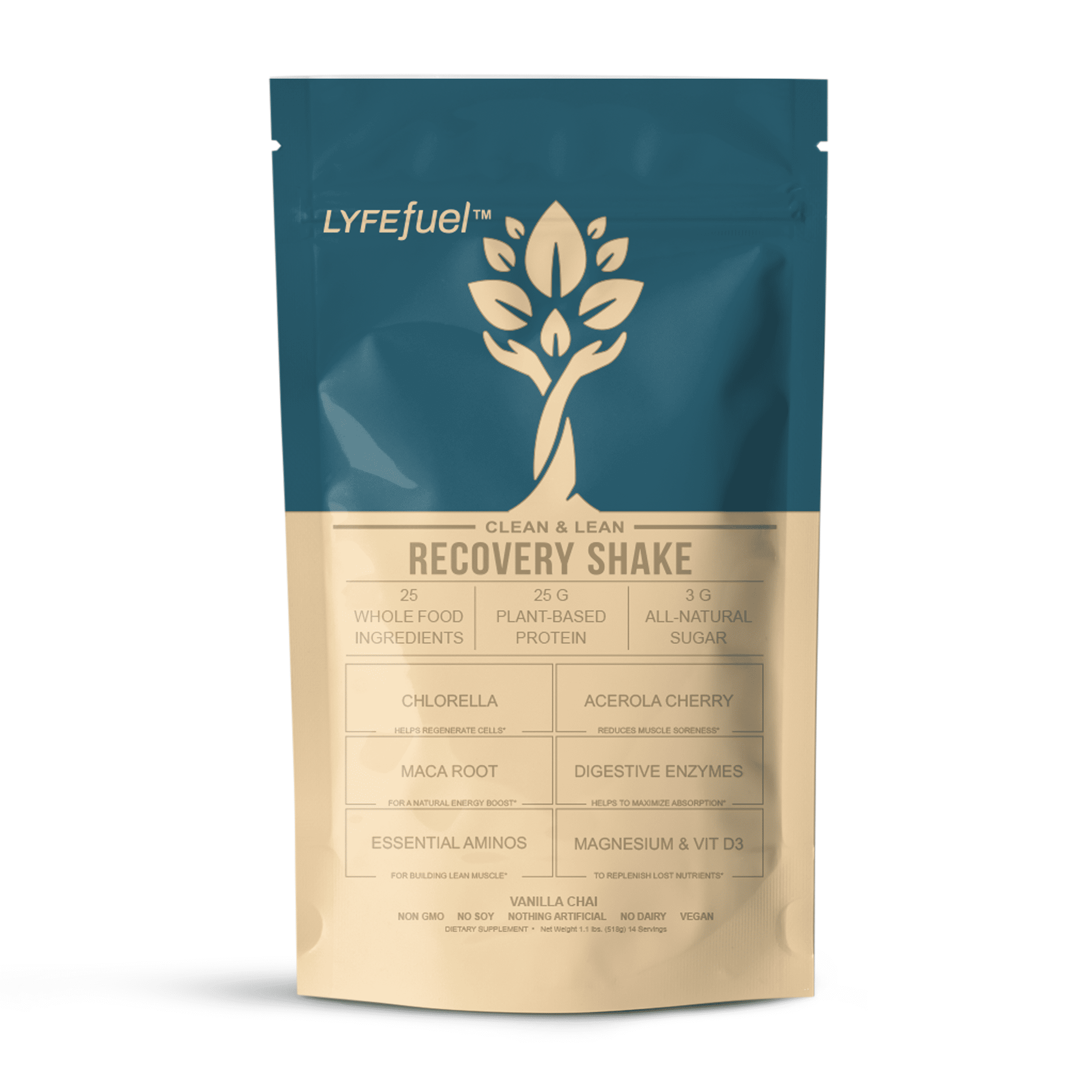 Post Workout Shake - Clean Vegan Protein Post Workout Recovery Drink (Vanilla, 1lb) - Superfood Powder Drink for Muscle Recovery, Weight Gain & Muscle Building - Keto, Dairy-Free, Soy-Free