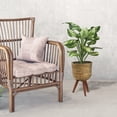 thumbnail image 2 of LCG Florals Artificial Plant, Faux Designer Hosta Plant, 28in, Modern Brown Basket Stand, Artificial Indoor Plant for Living Room, Office, & Home Décor, 2 of 8