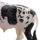 thumbnail image 5 of Plastic Texas Longhorn Bull Cattle Animals Action Figures Model Toys, 5 of 5