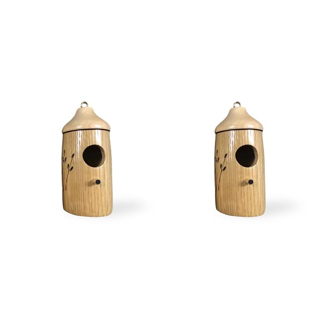 Monstrate Casa de pájaros de resina para colgar en el exterior del patio, Mini casa para mascotas, patio trasero, jardín, ventana, adornos, accesorios, Type1 NO1 Monstrate CBP195199