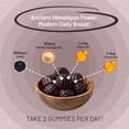 thumbnail image 5 of Shilajit Gummies 3000mg with KSM-66 Ashwagandha, Vitamin B6 & B12 – 60 Vegan Gummies – Energy & Vitality Support for Men & Women – Blackcurrant Flavour – Prowise, 5 of 7