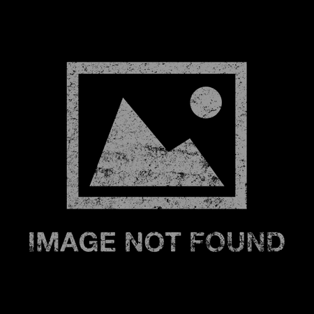 Google Doorbell Wired DEMO