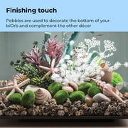 biOrb Green Moss Pebbles Set - Aquarium Decor
